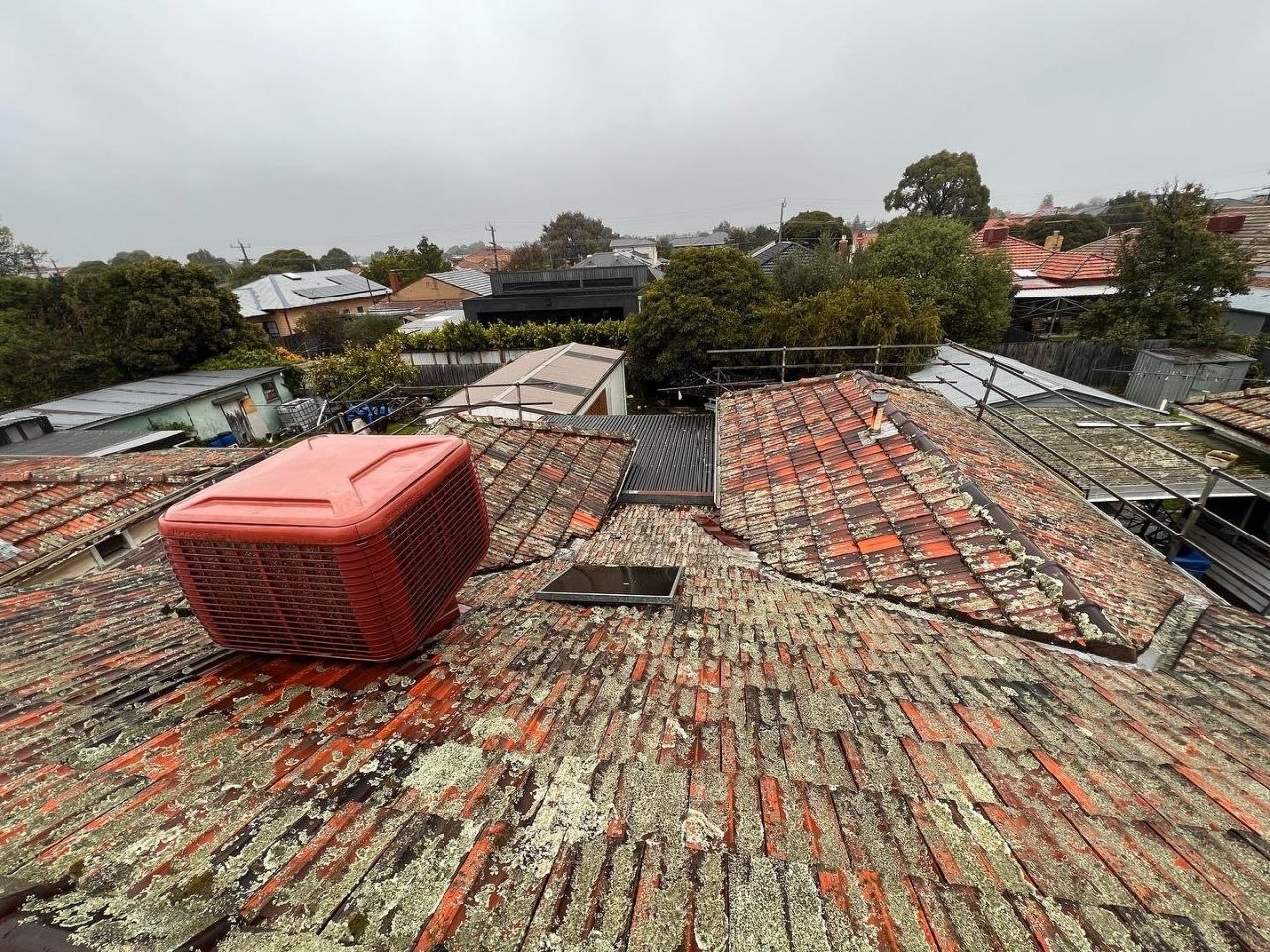 Before - Terracotta Tile Roof Restoration Bentleigh