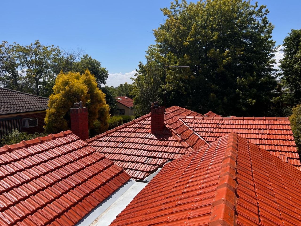 After - Terracotta Tile Roof Restoration Carnegie
