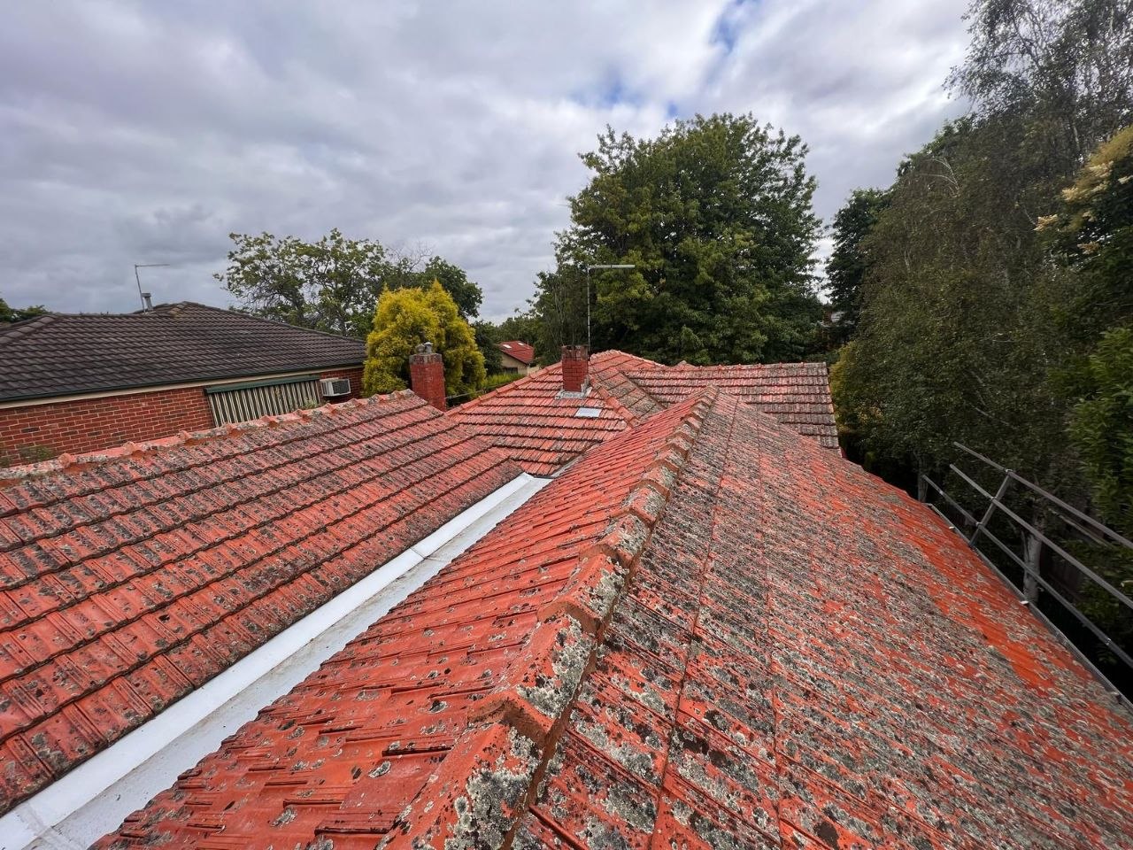Before - Terracotta Tile Roof Restoration Carnegie